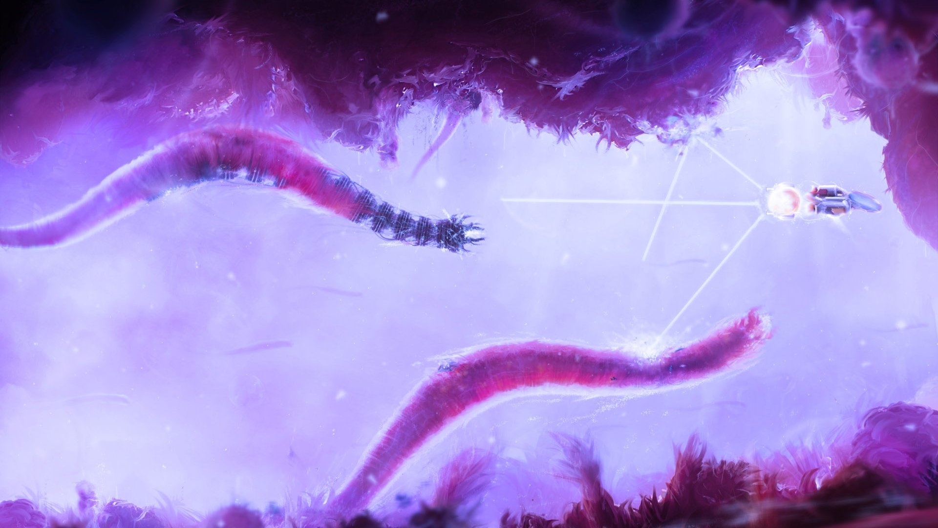 星空官方网站登录入口讲解